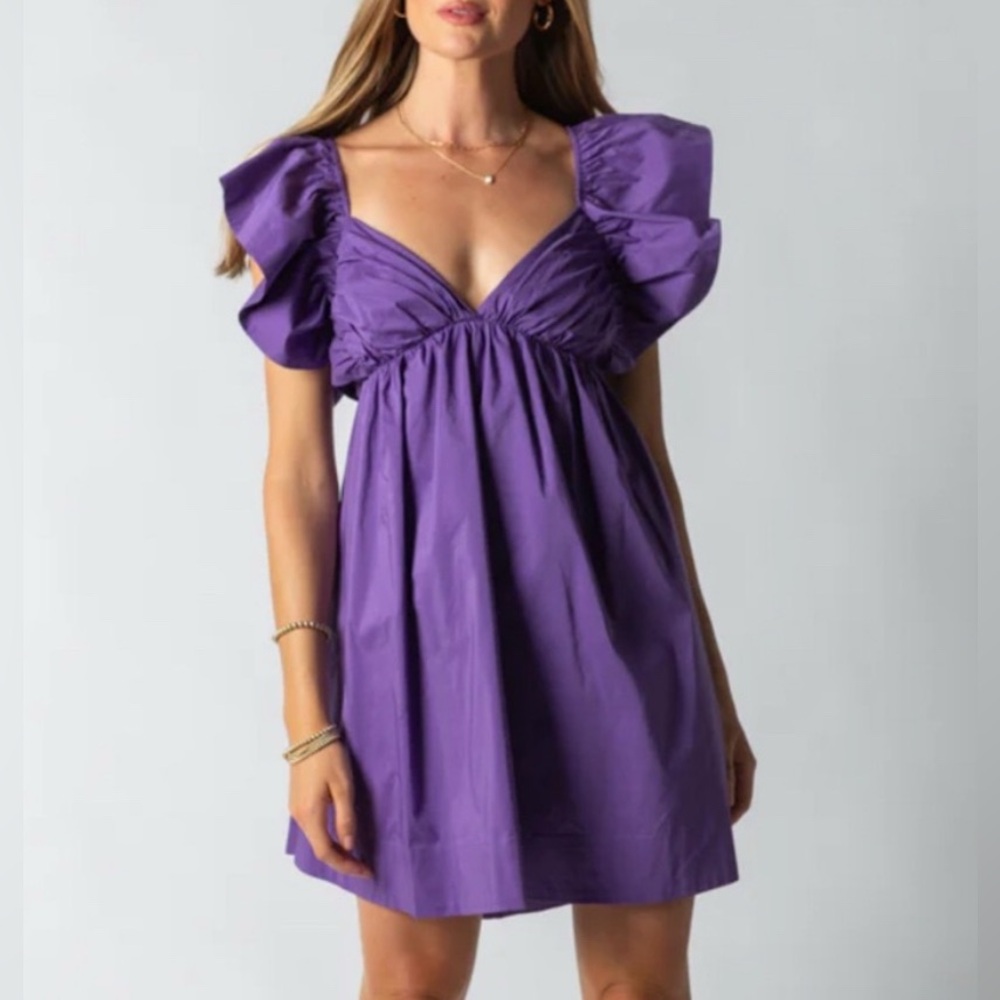 NWT Purple Mini Dress